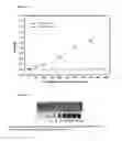 Fig. 05 - Colorimetric sensors for alkylating agents