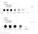 Fig. 08 - Colorimetric sensors for alkylating agents