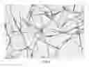Fig. 04 - Method of making a skin care composition