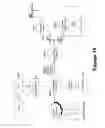 Fig. 27 - Systems and methods of sample processing and fluid control in a fluidic system