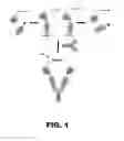Fig. 02 - Molecular biosensors with a modular design