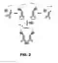 Fig. 03 - Molecular biosensors with a modular design
