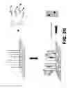Fig. 18 - Molecular biosensors with a modular design