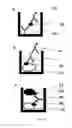 Fig. 02 - Platelet Allo-Antigen Typing And Platelet Antibody Tests