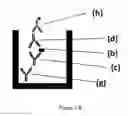 Fig. 04 - Platelet Allo-Antigen Typing And Platelet Antibody Tests