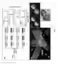 Fig. 06 - Nanocomposites and methods of making same