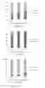Fig. 02 - Methods for analysis of free and autoantibody-bound biomarkers and associated compositions, devices, and systems