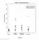 Fig. 13 - Compositions and methods for diagnosing lung cancers