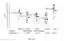 Fig. 40 - Compositions and methods for diagnosing lung cancers