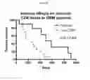 Fig. 03 - Treating patients based on immune subtypes