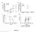 Fig. 04 - Method of isolating circulating tumor cells