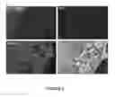 Fig. 06 - Method of isolating circulating tumor cells