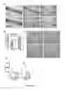 Fig. 07 - Method of isolating circulating tumor cells