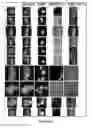 Fig. 23 - Method of isolating circulating tumor cells