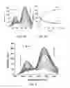 Fig. 03 - Fluorescence detection of cysteine and homocysteine