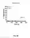 Fig. 11 - Detection of misfolded alpha synuclein protein