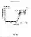 Fig. 12 - Detection of misfolded alpha synuclein protein