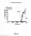 Fig. 13 - Detection of misfolded alpha synuclein protein