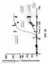 Fig. 04 - Detection of Misfolded Proteins