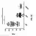 Fig. 08 - Detection of Misfolded Proteins
