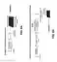 Fig. 15 - Detection of Misfolded Proteins