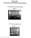 Fig. 05 - Methods of Identifying Candidate Compounds of the Human G Protein-Coupled Receptor, GPR50, as Modulators of Body Mass or Adiposity