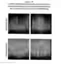 Fig. 13 - Methods of Identifying Candidate Compounds of the Human G Protein-Coupled Receptor, GPR50, as Modulators of Body Mass or Adiposity
