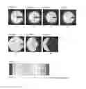 Fig. 20 - Optical-diffusion film for display and reflective display device using same