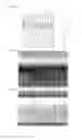 Fig. 28 - Optical-diffusion film for display and reflective display device using same