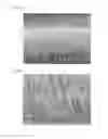 Fig. 29 - Optical-diffusion film for display and reflective display device using same