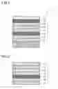 Fig. 02 - POLARIZING PLATE AND DISPLAY DEVICE THEREWITH