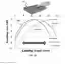 Fig. 06 - Fiber-waveguide evanescent coupler