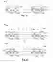 Fig. 16 - Differential silicon interface for dielectric slab waveguide
