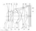 Fig. 01 - OPTICAL IMAGE CAPTURING SYSTEM