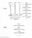 Fig. 09 - Variable magnification optical system, imaging apparatus, and method for manufacturing variable magnification optical system