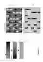 Fig. 17 - DITHERED DISPLAYS AND DITHERING PROCESSES AND APPARATUS