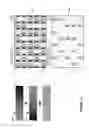 Fig. 20 - DITHERED DISPLAYS AND DITHERING PROCESSES AND APPARATUS