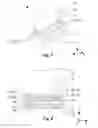 Fig. 05 - Scanner device