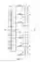 Fig. 12 - Virtual image display apparatus