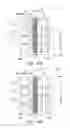 Fig. 17 - Virtual image display apparatus