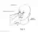 Fig. 02 - Eliminating Binocular Rivalry in Monocular Displays
