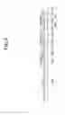 Fig. 05 - Liquid crystal display panel and method for manufacturing the same