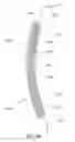 Fig. 31 - Variable transmittance optical filter and uses thereof