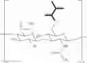 Fig. 13 - Method of manufacturing a biosensor