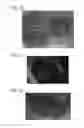 Fig. 10 - TONER, DEVELOPER, AND METHOD OF MANUFACTURING THE TONER