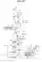 Fig. 10 - IMAGE FORMING AND ERASING APPARATUS WITH MULTIPLE CONVEYANCE PATHS