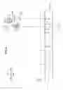 Fig. 07 - Image forming apparatus including coupling member selectively coupled to photosensitive drum