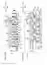 Fig. 16 - Image forming apparatus including coupling member selectively coupled to photosensitive drum
