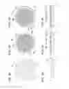 Fig. 04 - Mechanical component, mechanical component manufacturing method, movement, and timepiece
