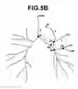 Fig. 06 - Three-dimensional object division output apparatus and its application